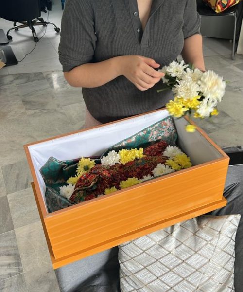 WhatsApp Image 2025-07-08 at 7.38.52 AM (1)